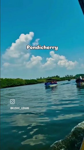 This is World’s 2nd Largest Mangrove Forest 🌳 Pichavaram Mangrove | Chindambaram | Pondicherry
