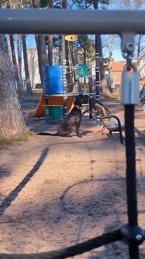 Lots of ppl confuse process with procedure. Punsihment is an operant process that reduces behavior, but there are many prodedures (techniques, protocols, methods) that will reduce behavior without involving any punishment at all.