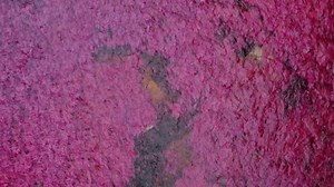 Aerial Footage Caño Cristales Often Called Stock Footage Video (100% Royalty-free) 3828423817 | Shutterstock