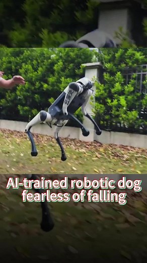 Robotic Dog with Advanced Stability Technology