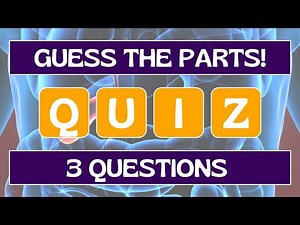 Body Parts Challenge: #educationalvideo