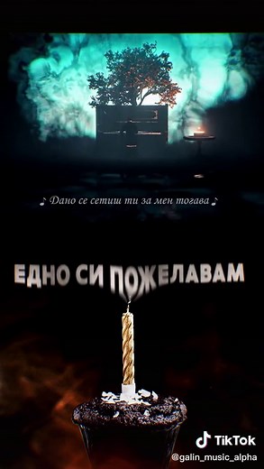 💥 Edno Si Pojelavam 💥 #xzybca #bulgaria #fypシ #galin #alphamusicbg #newsong #viral #balkantiktok #bulgariantiktok #musicvideo