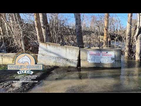Yakima River Fly Fishing Report-March 26th, 2026-Worley Bugger Fly Co.