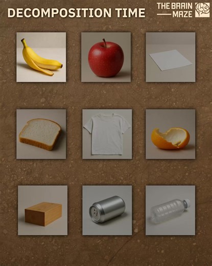 897K views · 16K reactions | Decomposition Timeline of Everyday Items - We created this animation to show how long everyday items take to decompose under natural outdoor conditions ,where moisture, oxygen, sunlight, and microbial activity are present. From quick-fading food scraps to materials that will outlast generations, this timeline reveals just how long waste lingers when left to the elements — and why proper disposal and recycling matter more than ever. | The Brain Maze | Facebook