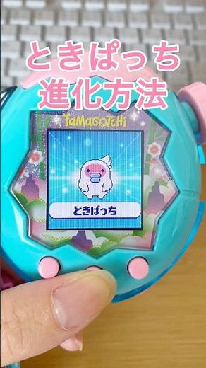 ときぱっちの進化方法 #たまごっちパラダイス #たまごっち #tamagotchi #たまごっちユニ
