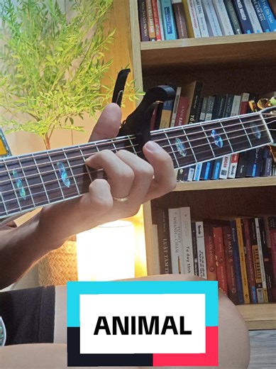 Animal Guitar Solo: Fingerstyle Performance Tips