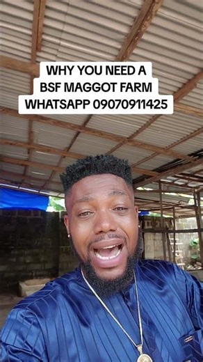 Why you need to build a maggot farm before starting livestock farming