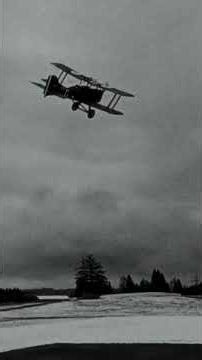 Short Mustang P51Flugspaß garantiert! S E 5a 900mm BNF Basic mit AS3X+ & SAFE Select im Test