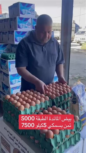 اللهم صلِ ع محمد والِ محمد ✨ بمناسبه شهر رمضان بيض المائدة وتمن zer. الرزق والعافيه علينا وعليكم ان شاء الله. تواصل ويانه ودلل ☎️07733794852 احسان ☎️07733655696 مسلم ☎️07733441004 عقيل ☎️ 07710088668 محمد 📍واسط الحفريه ناحيه تاج الدين - طريق كوت بغداد مقابيل حسينية الرسول الاعظم https://maps.app.goo.gl/ikDek2AvHuHmcQcC8 #محلات_الحاج_عاصي_واولاد