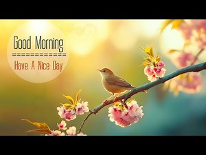 THE BEST MORNING MUSIC - Wake Up With Positive Energy & Relaxation - Soft Morning Meditation Music
