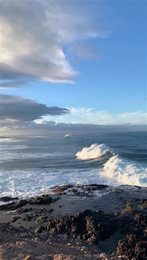 Warum ich meine Fresse nicht halte ? 🚫▶️#fressehalten😁🤭 #höflichkeitswoche #deutschland #heute #spruche