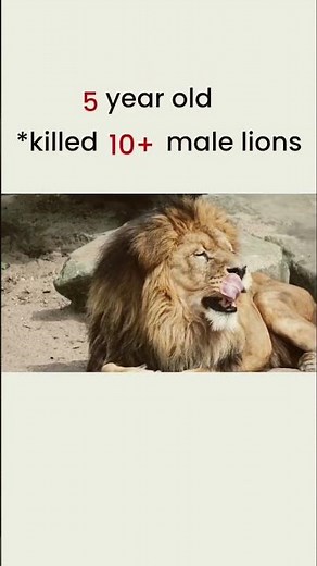 From Cub to King 🦁 The Life of a Lion in 60 Seconds.