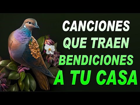 La Canción Católica Mas Hermosa Del Mundo 2024 | Canciones Catolicas de Alabanzas Y Adoracion #jesus