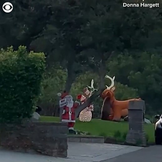 121K views · 2.7K reactions | Bear 1, Inflatable reindeer 0 | 10TV - WBNS | Facebook