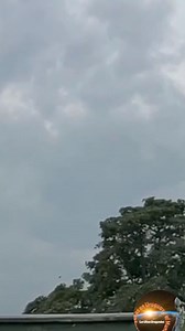 13K views · 186 reactions | OVNI ESFÉRICO EN CALI COLOMBIA. VELOCIDAD INCREÍBLE, COMPARADA CON UN " AVE " #ovni #ovnis #virales #ovnis2024 #UFO #aliens #extraterrestre #AlienigenasAncestrales | Alienígenas en Uruguay y el mundo | Facebook