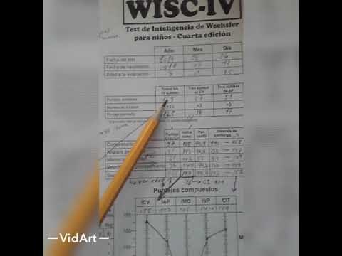 Wisc-IV Calificacion (para niños) parte 1