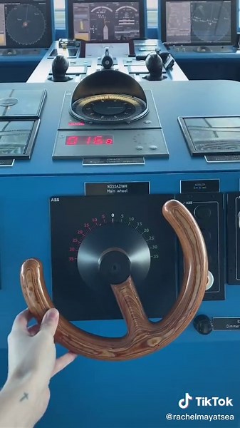 Steering a Cruise Ship: Mastering the Art of Manoeuvring at Sea