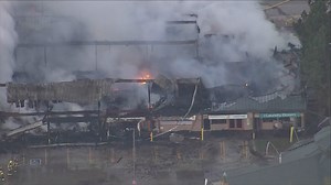 Rare ferrets will find new home on Denver-area refuge