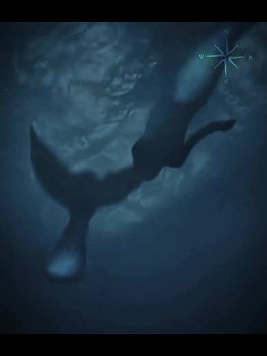 Rio soundtrack solos || #peterpan #neverland #rio #riosoundtrack #fyp #onceuponatime #edit #peterpanouat