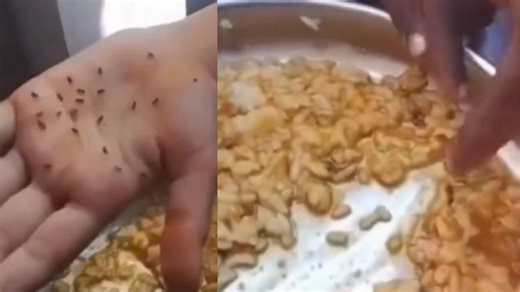 How safe are mid-day meals? Worms found in children’s lunch at a Karnataka school | VIDEO