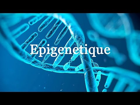 L'épigénétique, c'est quoi ?