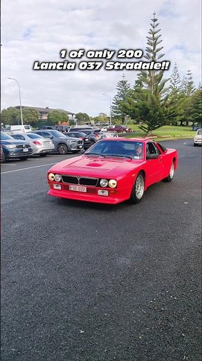 1 of 200 Lancia 037 Stradale 😵