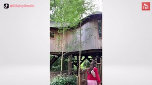 Magical tree house designs that anyone can build