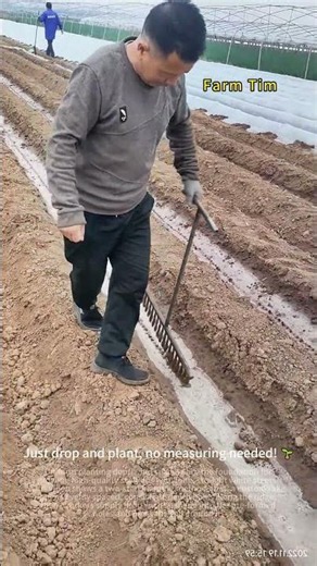 Pre-Drilled Holes for Perfect Scallion Planting 📏🌱