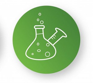 Local Students Take Home Awards in Science and Tech Competition