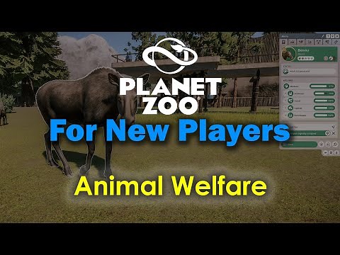 Planet Zoo For New Players - Animal Welfare