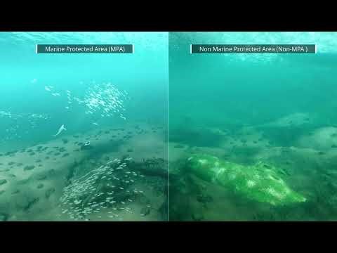 What Could the Western Mediterranean Look Like in 2030?