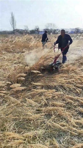 Walk-Behind Gas Sickle Bar Mower: The Ultimate Tool for Cutting Tough Weeds and Reeds