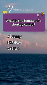 1.3M views · 9.3K reactions | Too easy?How many correct answers did you get? Visit Profile for more... Get ready for an incredible journey!  Discover mind-bending puzzles, trivia, and brain teasers that will leave you amazed. Join us as we explore the world of intellectual excitement. 易 #trivia #iq #quiz #quiztimer #riddle #knowledge #generalknowledge #fyp #foryou #fypシ゚viral #puzzle | Quiz Hub | Facebook