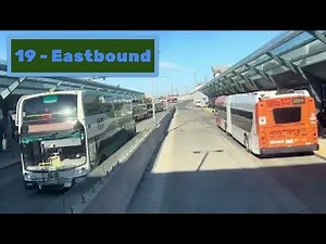 GO Bus 19: Square One to Finch Terminal