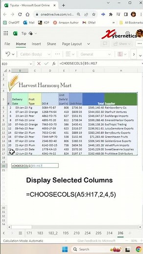 Display only selected columns in Excel - Excel Tips and Tricks