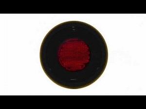 Introducing the Bromic Eclipse Heater