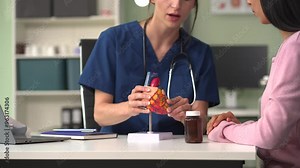 doctor shows a model of how the heart system works, doctors explaining symptoms and treatment to patients.