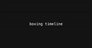アダムス・ハナコ / Adams Hanako - Boxing Timeline