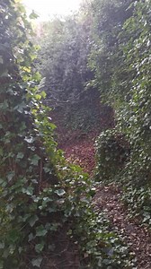 Lost Places & Forgotten Faces on Reels