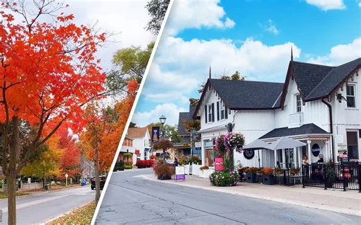 【4K】多伦多人们住的房子长什么样？在秋天的落叶高峰期步行到万锦市 Unionville 的多伦多郊区