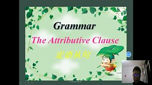 The attributive clause 定语从句