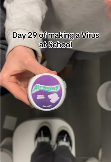 Creating a Virus in School: Day 29 Insights