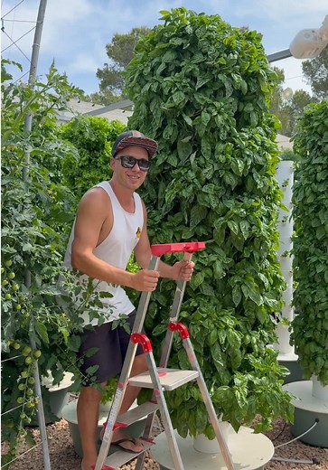Vertical Aeroponic Farming: Year-Round Crop Growth