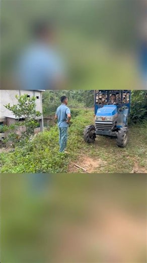 Extreme Timber Loading on Dangerous Slopes! #logging #timbertransport #forestrymachines #shorts