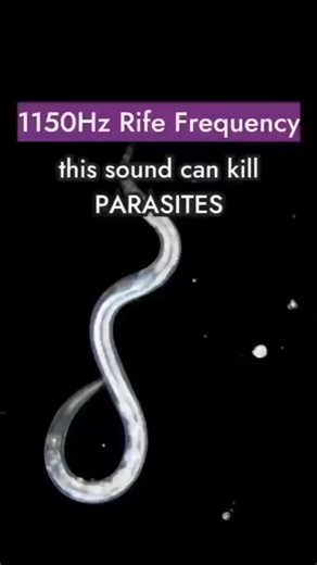 usameds on Instagram: "1150Hz Rife Frequency this sound can kill PARASITES. 🪱 Royal Rife discovered that this frequency could destroy parasites on a cellular level. #cancer #parasitecleanse #cancer♋️ #parasites #cancerawareness #cancersucks"