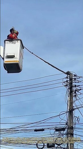 Line Life: The High-Stakes Unwinding of a Power Pole Python