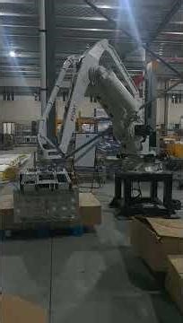 Robot Palletizing System with Carton Sealer and Strapping Machine for Big Cartons
