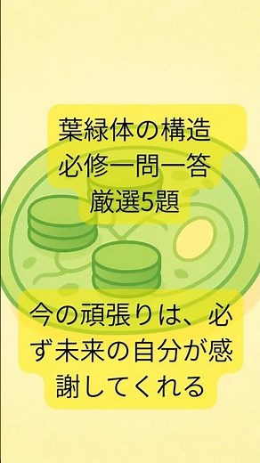 葉緑体の構造 必修一問一答 厳選5題