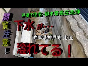 【閲覧注意】下水が汚水桝から溢れる 神戸市北区 【排水管高圧洗浄】