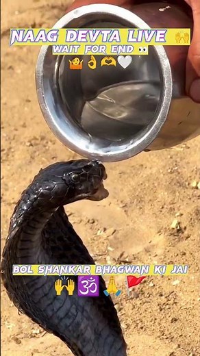 Naag Devta Live Darshan 🙏 | Bhole Ka Pujari Song | Sawan 2025 Special | Har Har Mahadev 🔥